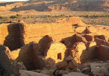Historical and Archeological Places